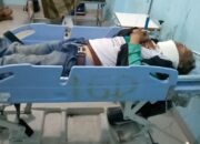 Pohon Tumbang Driver Dirawat, Penumpang Tewas