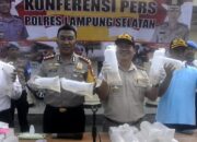 Baby Lobster Rp 10 Miliar Diselundupkan