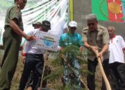 DAS Kritis, 1000 Pohon Ditanam