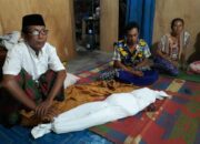 Satu Korban Meninggal Akibat Tsunami di Tanggamus