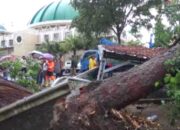 Lama Miring, Dua Pohon Tumbang Timpa 3 Motor