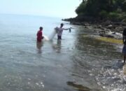 Ekonomi Sulit, Nelayan Butuh Kapal