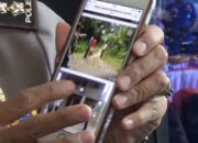 Polda Buru Lima Predator Anak