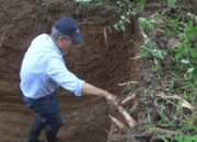 Investor Taiwan Incar Tebu  Way Kanan