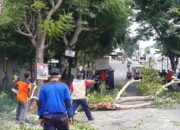 5 Kali Tumbang, Kedondong Hutan Ditebang