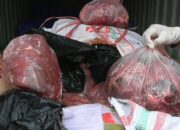 KSKP Sita Daging Celeng Ditutup Jengkol