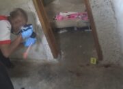 Keji, Adik Bunuh Kakak