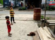 Puluhan Ayam Mati Misterius