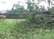 Tiga Kampung Porak Poranda Diterjang Puting Beliung