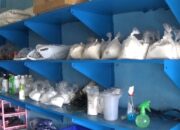 Polisi Intai Toko Bahan Peledak