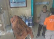 Hilang Dari Bus, Tewas di Sumur