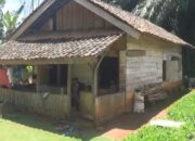 Janji Palsu Pemerintah Bantu Serly