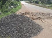 Disindir Warga Bupati Perbaiki Jalan