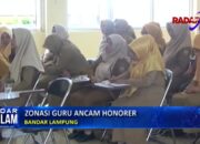 Sistem Zonasi Guru Akan Mengancam Tenaga honorer