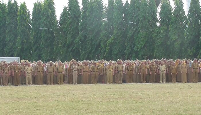Yakin Gak Tertarik Jadi PNS dan PPPK?  Segini Besaran Gajinya!