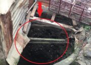 Akibat Maen Burung Pria Ini Masuk Sumur