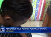 Pengaruh Film Porno,  Ponakan Digauli