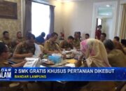 2 SMK Gratis Khusus Pertanian Dikebut