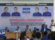 Sisa Jabatan, Dendi Maksimalkan Pembangunan