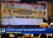 Golkar Survei Bacalon Walikota