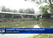 Kemarau, Berkah Usaha Pemancingan