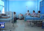 Kemarau Waspada Virus Berterbangan