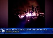 Jago Merah Mengamuk Di Bumi Waras
