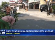 Nasi Bungkus Masakan Kadis Melanggar