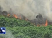 Hari Kemerdekaan Belasan Hektare Kebun Karet Terbakar