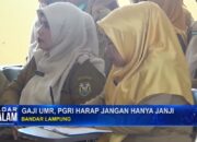 Gaji UMR , PGRI Harap Jangan Hanya Janji