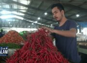 Harga Cabai Rawit Setan Di Lampung Meroket Tembus Harga Rp 80 Ribu