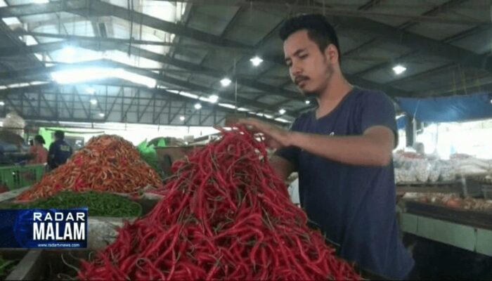 Harga Cabai Rawit Setan Di Lampung Meroket Tembus Harga Rp 80 Ribu