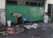 Omset Pengepul Kulit Hewan Menurun