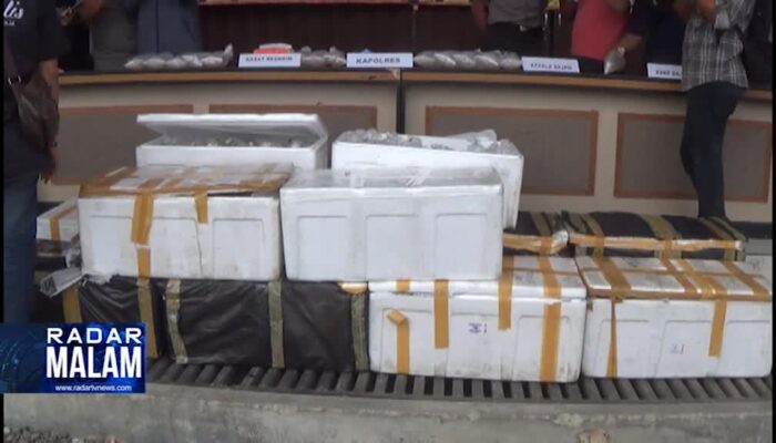 Lagi, Ribuan Benih Lobster Gagal Selundup