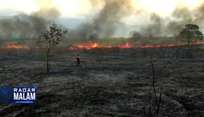 Ratusan Hektar Lahan TNBBS Terbakar