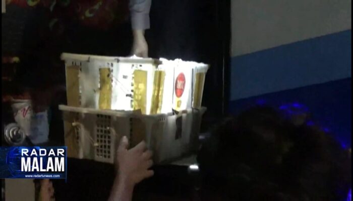 Diselundupkan Via Bus Pahala Kencana