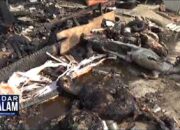 Puluhan Kambing Terpanggang