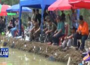 Festival Teluk Semaka Tarik Wisatawan