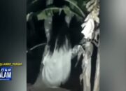 Video Kuntilanak Bandar Lampung Viral