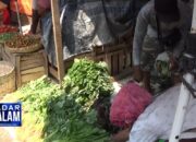 Kemarau Bikin Sayuran Mahal