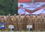 CPNS Dibuka Mulai 11 November