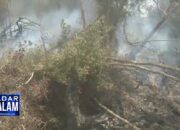 Hutan Register 34 Terbakar, Warga Cemas