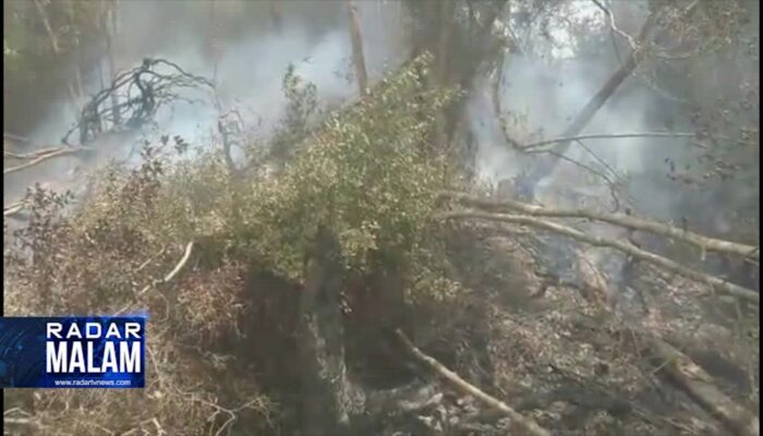 Hutan Register 34 Terbakar, Warga Cemas