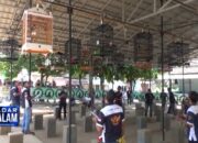 1.200 Kicau Mania Ramaikan Boty Cup 2019