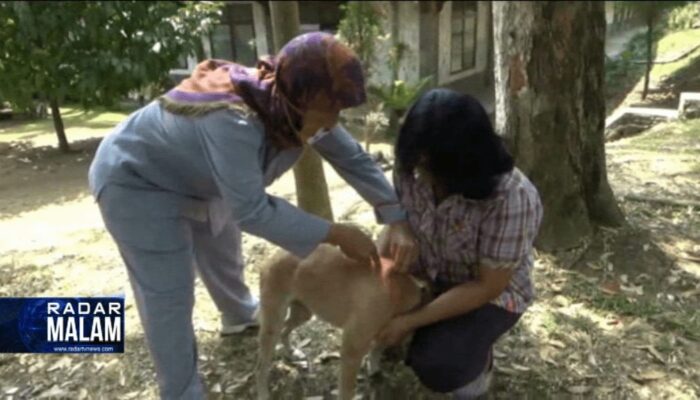 Cegah Rabies, Hewan Peliharaan Divaksin
