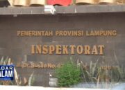 Inspektorat Sanksi Tegas Auditor