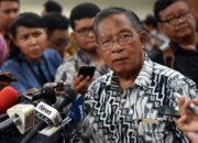 Menko Darmin Minta Larangan Minyak Goreng Curah Dibatalkan