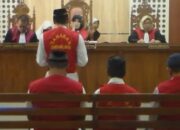 4 Pelaku Illegal Logging Dituntut 3 Tahun Bui