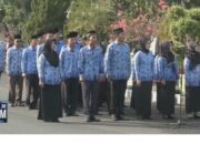 Kuota CPNS Daerah Hanya 59 Formasi