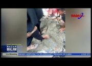 Warga Resah, BELASAN KUCING DIBANTAI